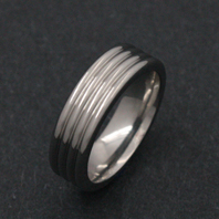 Classic Titanium Ring - Neutron