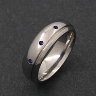 Titanium Ring - Delphinus