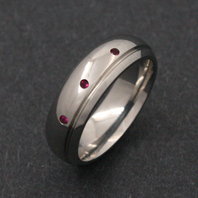 Titanium Ring - Ruby Delphinus