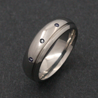 Classic Titanium Ring - CZ Delphinus