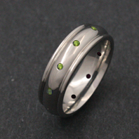 Titanium Ring - Pegasus