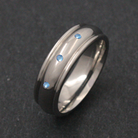 Titanium Ring - Mensa