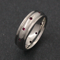 Classic Titanium Ring - Ruby Pegasus