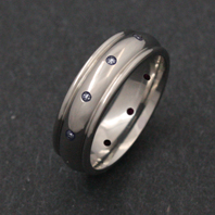 Classic Titanium Ring - CZ Pegasus