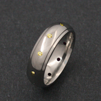 Titanium Ring - Vela