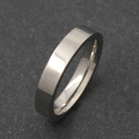 Classic Titanium Ring - Newton